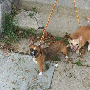 Meet your Posher, Matthew